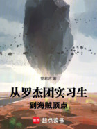 从罗杰团实习生到海贼顶点在线阅读