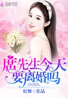 席先生今天要离婚吗在线阅读