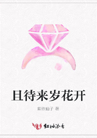 且待來歲花開在線閱讀
