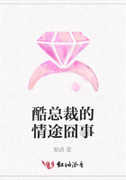 酷總裁的情途囧事在線閱讀