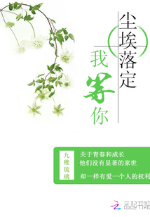 塵埃落定我等你