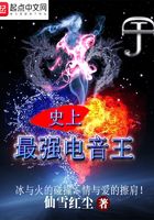 史上最强电音王