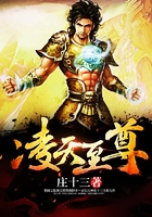 凌天至尊