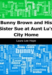 Bunny Brown and His Sister Sue at Aunt Lu's City Home
