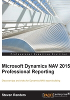 Microsoft Dynamics NAV 2015 Professional Reporting在线阅读