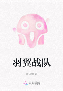 羽翼戰隊