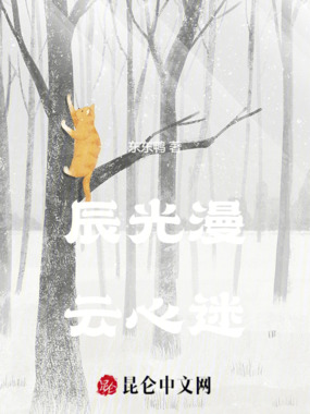 辰光漫,云心迷在线阅读