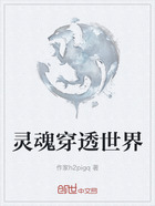 灵魂穿透世界在线阅读
