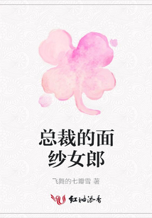 總裁的面紗女郎