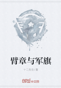臂章与军旗