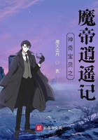 神奇宝贝之魔帝逍遥记