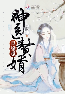 神醫贅婿良緣覓