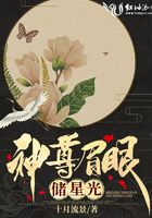 神尊眉眼儲星光在線閱讀