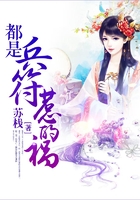 都是兵符惹的祸在线阅读