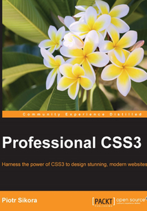 Professional CSS3