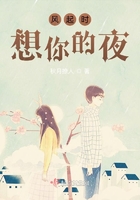 风起时想你的夜