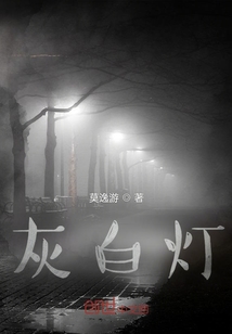 灰白日志
