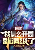 網(wǎng)游：我怎么開局就滿級了？在線閱讀