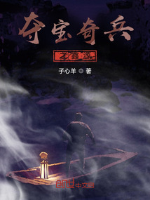 奪寶奇兵