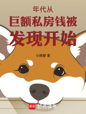 年代从巨额私房钱被发现开始在线阅读