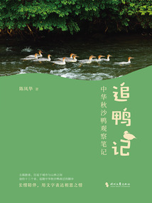 追鴨記：中華秋沙鴨觀察筆記