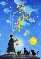 等风来在线阅读