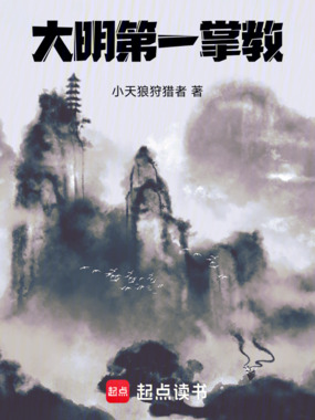 大明第一掌教在线阅读