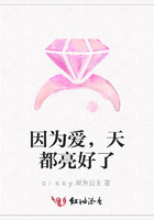 因为爱，天都亮好了在线阅读