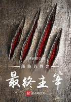 降臨忍界之最終主宰在線閱讀