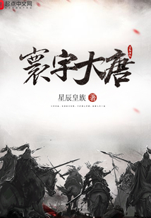 寰宇大唐