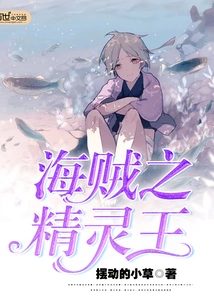 海贼之精灵王 封面