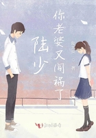 陆少,你老婆又闯祸了