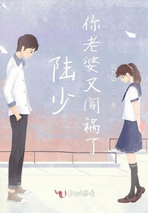 陸少，你老婆又闖禍了