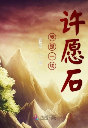 我是一块许愿石在线阅读