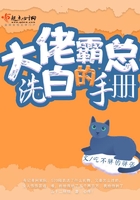 大佬霸總的洗白手冊在線閱讀