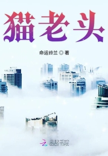 貓老頭