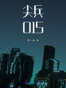 尖兵015
