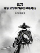 盘龙:逆斩主宰从四神兽神通开始在线阅读