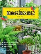 阳台花园改造记在线阅读
