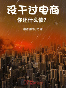 沒干過電商，你還什么債？