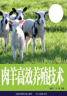肉羊高效養(yǎng)殖技術(shù)