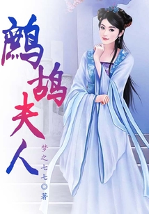 鷓鴣夫人