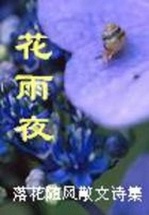 花雨夜