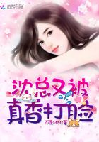 沈总又被真香打脸在线阅读