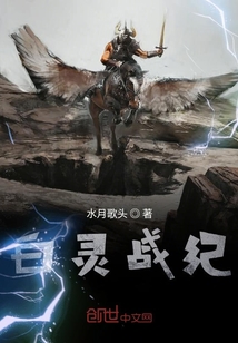 白灵战纪 cover