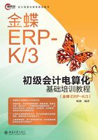 初级会计电算化基础培训教程（金蝶EPR-K/3）