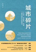 城市碎片：北京、芝加哥、巴黎城市保护中的政治