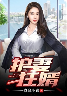 護妻狂婿