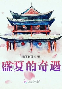 盛夏的奇遇