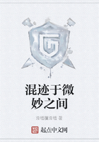 混迹于微妙之间在线阅读